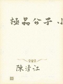 极品公子 小说
