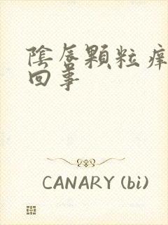 阴唇颗粒痒怎么回事