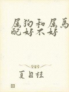 属狗和属马的婚配好不好