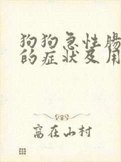 狗狗急性肠胃炎的症状及用药