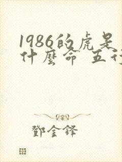 1986的虎是什么命 五行属什么