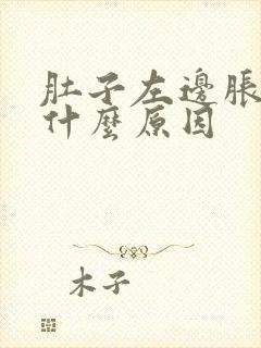 肚子左边胀气是什么原因封面