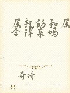 属龙的和属兔的合得来吗