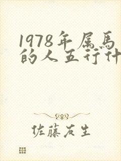 1978年属马的人五行什么命封面