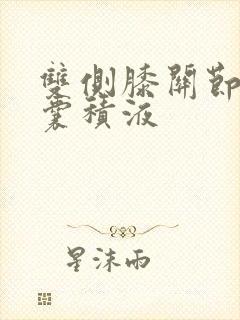 双侧膝关节髌上囊积液