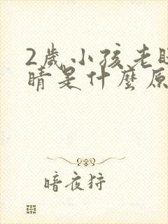 2岁小孩老眨眼睛是什么原因