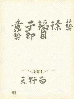 黄子韬徐艺洋综艺节目封面