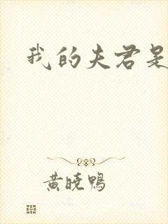 我的夫君是冥王