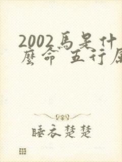 2002马是什么命 五行属什么