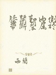 膝关节内侧副韧带断裂属于几级残疾