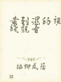 黄到湿的视频在线观看
