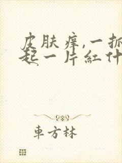 皮肤痒,一抓就起一片红什么原因封面