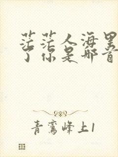 茫茫人海里遇见了你是哪首歌