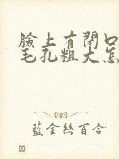 脸上有闭口粉刺毛孔粗大怎么处理