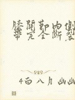 膝关节内侧副韧带完全断裂评几级残封面