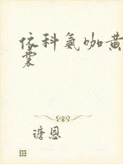 依科氨咖黄敏胶囊