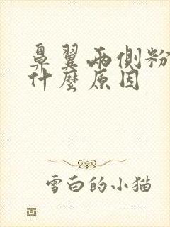 鼻翼两侧粉刺是什么原因