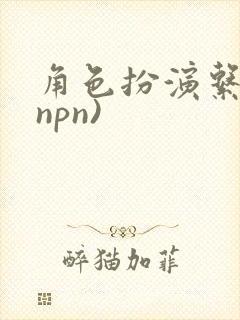 角色扮演系统(npn)封面