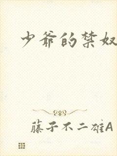 少爷的禁奴
