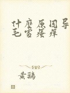 什么原因导致阴毛处瘙痒