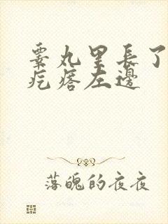 睾丸里长了个硬疙瘩左边