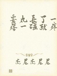 睾丸长了一个疙瘩一碰就疼