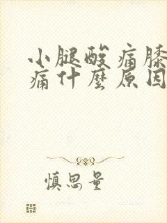 小腿酸痛膝盖疼痛什么原因封面