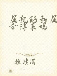 属龙的和属兔的合得来吗