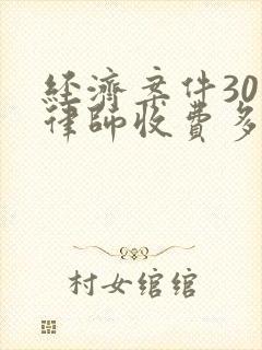 经济案件30万律师收费多少