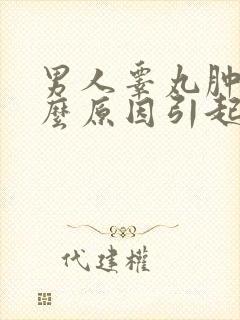 男人睾丸肿痛什么原因引起的