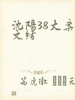 沈阳38大案王文绪
