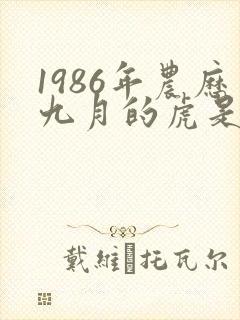 1986年农历九月的虎是什么命