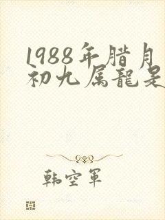 1988年腊月初九属龙是什么命