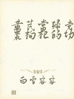 黄芪当归党参红枣枸杞的功效及作用