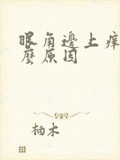 眼角边上痒是什么原因