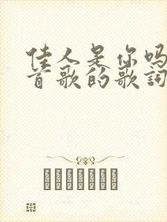 佳人是你吗是哪首歌的歌词