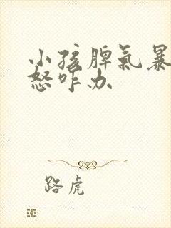 小孩脾气暴躁易怒咋办