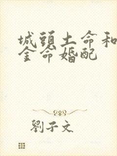 城头土命和白蜡金命婚配