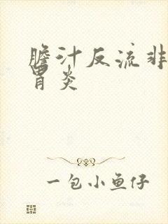 胆汁反流非萎缩胃炎