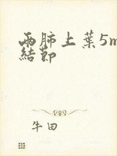 两肺上叶5mm结节封面
