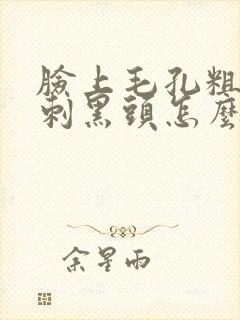 脸上毛孔粗大粉刺黑头怎么处理封面