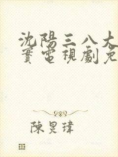 沈阳三八大案纪实电视剧免费观看