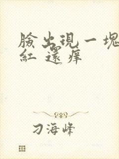 脸出现一块一块红 还痒
