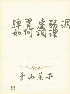 脾胃虚弱湿气重如何调理