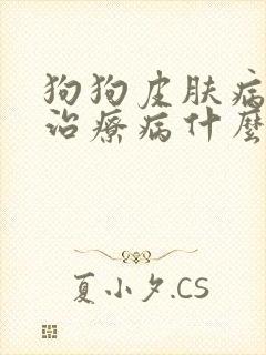 狗狗皮肤病怎么治疗病什么药最有效