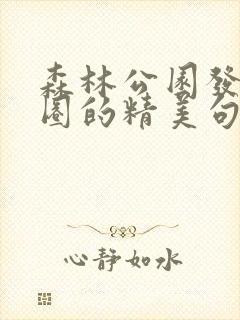 森林公园发朋友圈的精美句子