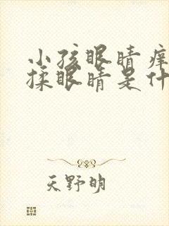 小孩眼睛痒老是揉眼睛是什么原因