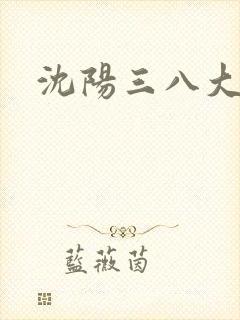 沈阳三八大案.