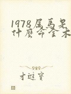 1978属马是什么命金木水火土