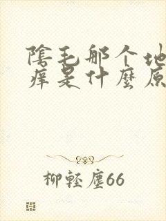 阴毛那个地方很痒是什么原因